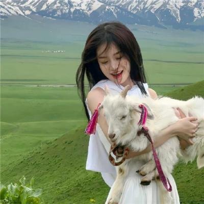 完美敌人